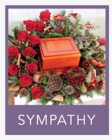 Sympathy - Garden Roses, HD Png Download, Free Download