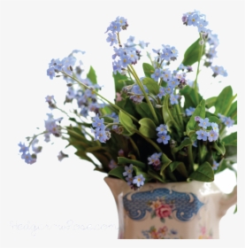 Forget Me Not Png Pic - Forget Me Not .png, Transparent Png, Free Download