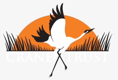 Crane Trust - Crane, HD Png Download, Free Download