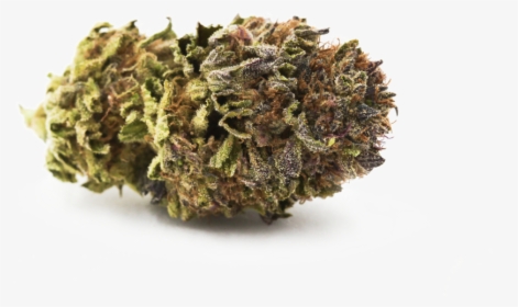 Blue City Diesel Single - Bud, HD Png Download, Free Download