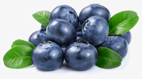 Transparent Blueberries Clipart - Imagenes De Blueberry, HD Png Download, Free Download