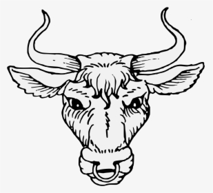 Cattle Heraldry Artist Ox - Bull Head Png, Transparent Png, Free Download
