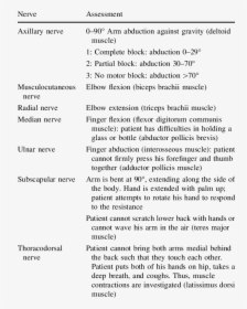 Motor Function Axillary Nerve, HD Png Download, Free Download