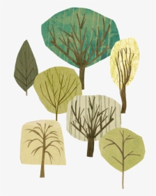 Tree Illustrations By Julie Benda - Beech, HD Png Download, Free Download