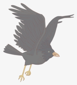 Hand Drawn Grey Crow Bird Png And Psd - อีกา วาด ภาพ, Transparent Png, Free Download