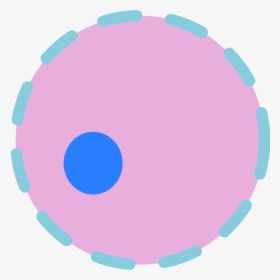 File Cell Nucleus Wikimedia - Cell Nucleus Png, Transparent Png, Free Download