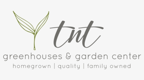 Tnt Main Logo - Calligraphy, HD Png Download, Free Download