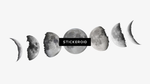 Moon Phases Black And White , Png Download - Transparent Moon Phases Png, Png Download, Free Download