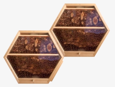 Beecosystem New Hive Shop 2, HD Png Download, Free Download