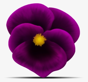 Viola Ffinished 2 - Pansy, HD Png Download, Free Download