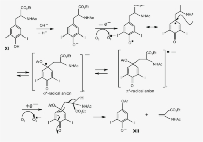 Diagram, HD Png Download, Free Download