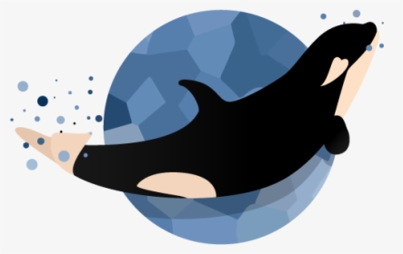 Happy Baby Orca Illustration Vector Whale Orca Baby - Vector Orca Art Png, Transparent Png, Free Download