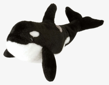 Animal Adoption Kit - Killer Whale Plush, HD Png Download, Free Download