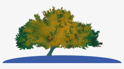 Survivor Tree Illustration-01 - Maple, HD Png Download, Free Download