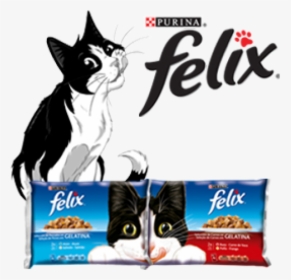 Felix Cat Food , Png Download - Felix Cat Food, Transparent Png - kindpng