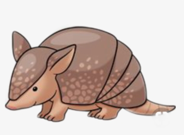 #armadillo - - Armadillo Drawing Easy, HD Png Download, Free Download