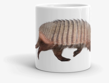 "  Class="lazyload Lazyload Mirage Cloudzoom Featured - Armadillo, HD Png Download, Free Download