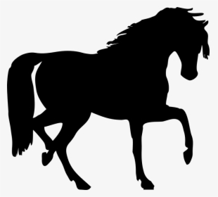 Thumb Image - Horse Silhouette Clipart, HD Png Download, Free Download