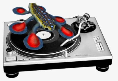 King Sea Dragon& - Vinyl Record Player Transparent Background, HD Png Download, Free Download