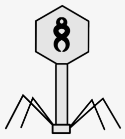 Virus, Bacteriophage, Science, Biology, Structure - Virus Clipart Black And White, HD Png Download, Free Download