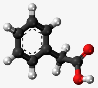 Ball And Stick Model Of Phenylacetic Acid - Phenylacetic Acid Paa, HD Png Download, Free Download