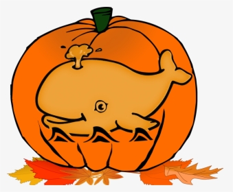 Fallsquirtpumkin - Whale Coloring Pages For Kids, HD Png Download, Free Download