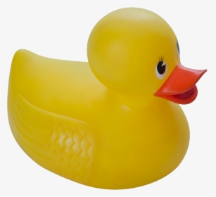 Rubber Duck Png - Transparent Background Girl Rubber Duck, Png Download, Free Download