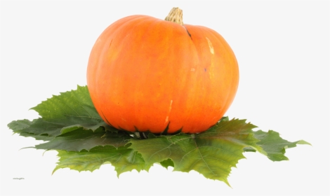 Pumpkin Png Image - Pumpkin Png File, Transparent Png, Free Download