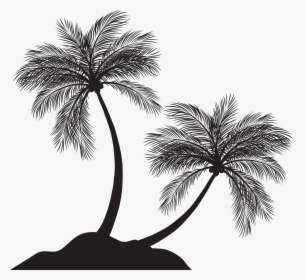 Arecaceae Silhouette Clip Art, HD Png Download, Free Download