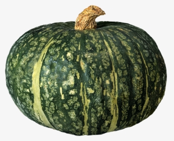 Pumpkin Png Image - Green Pumpkin Png, Transparent Png, Free Download