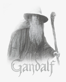 Lord Of The Rings Gandalf The Grey Men"s Slim Fit T-shirt - Youth: Lord Of The Rings - Gandalf The Grey, HD Png Download, Free Download