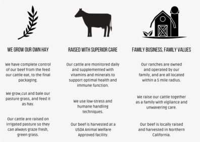 Why Five Mile Beef, HD Png Download, Free Download