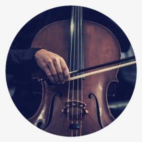 Violin Cello Photography , Png Download - Cello, Transparent Png, Free Download