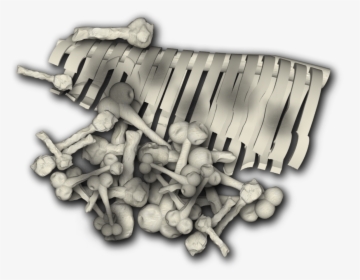 Dundjinni Bones , Png Download - Illustration, Transparent Png, Free Download