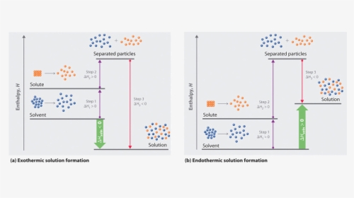 13 - 1 - 1 - Solubility Endothermic, HD Png Download, Free Download
