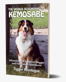 Bernese Mountain Dog, HD Png Download, Free Download