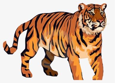Transparent Were Clipart - Free Tiger Clipart, HD Png Download, Free Download