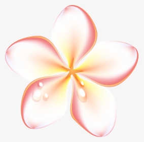 Exotic Flowers Transparent Png - Summer Flower Clip Art Png, Png Download, Free Download