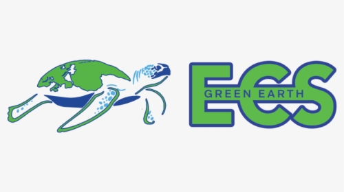 Ecs Text And Turtle Logotransparent - Green Sea Turtle, HD Png Download, Free Download