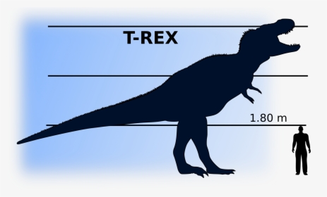 This Free Icons Png Design Of T-rex Vs Man , Png Download - Tyrannosaurus Rex Compared To Human, Transparent Png, Free Download