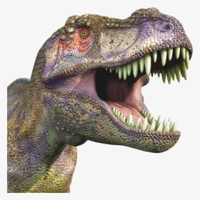Dinosaur Png - T Rex Open Mouth, Transparent Png, Free Download