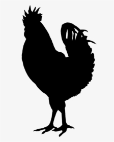 Chicken Silhouette Png, Transparent Png, Free Download