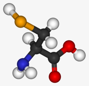 Selenocysteine 3d Balls - Ethyl Acetate Molecule 3d, HD Png Download, Free Download