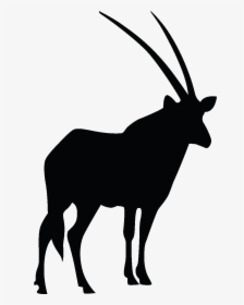 Sticker Silhouette Antilope Animal Outline, Safari - Safari Animal Silhouette Png, Transparent Png, Free Download