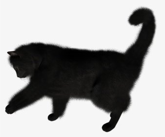 Download For Free Cats Transparent Png File - Transparent Background Black Cat Png, Png Download, Free Download