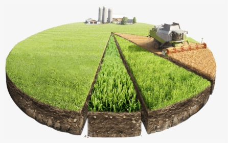 Agricultural Land Transparent Background, HD Png Download, Free Download