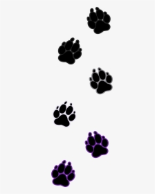 Transparent Dog Paw Outline Clipart - Dog Paw Paws Transparent Background, HD Png Download, Free Download