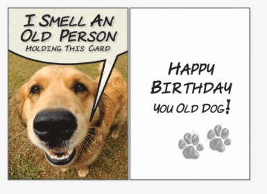 I Smell An Old Person"  Class= - Happy Birthday Old Dog, HD Png Download, Free Download