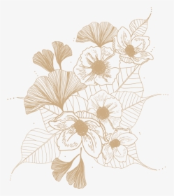 Untitled-1 - African Daisy, HD Png Download, Free Download