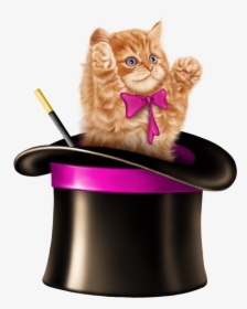 Kitten Cartoon, Kitten Images, Tube, Clip Art, Card - Cat In A Magic Hat, HD Png Download, Free Download
